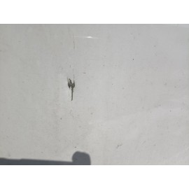 Πόρτα μπροστινή αριστερή οδηγού από Toyota Yaris Comfort 2020