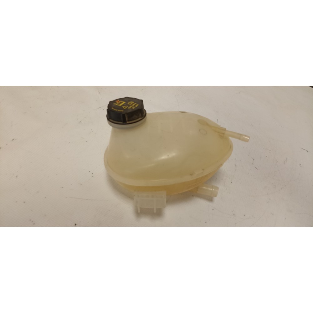 Δοχείο Διαστολής Ψυκτικού από FORD